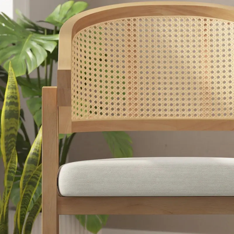 Sedia da pranzo in rattan intrecciato con schienale in canna e seduta imbottita